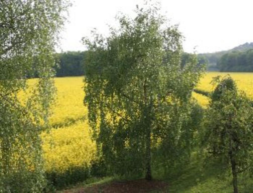 Domaine De Gondrange - Chambres D'Hotes Havange Kültér fotó